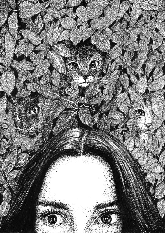"The Girl Followed by Cats"